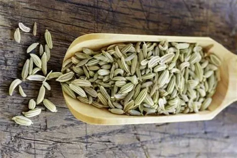 تصویر 2 از زیره سبز طبیعی با طعمی اصیل و عطر بی نظیر